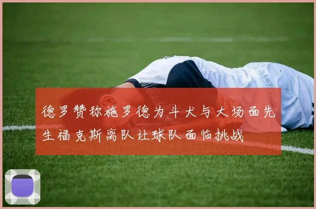 德罗赞称施罗德为斗犬与大场面先生福克斯离队让球队面临挑战
