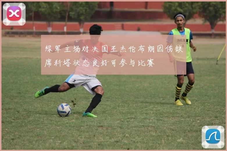 绿军主场对决国王杰伦布朗因伤缺席科塔状态良好可参与比赛