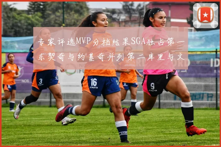 专家评选MVP分档结果SGA独占第一东契奇与约基奇并列第二库里与文班位列第四
