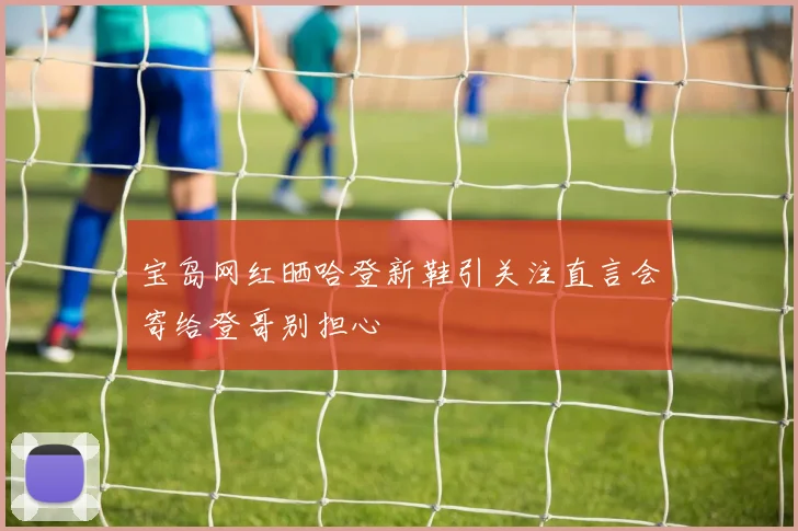 宝岛网红晒哈登新鞋引关注直言会寄给登哥别担心